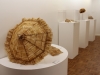 Ladies Parasol, 2014