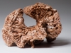 Hyperbolic Crochet Pseudosphere, 2014