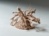 Coral Form, 2015