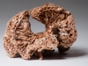 Hyperbolic Crochet Pseudosphere, 2014